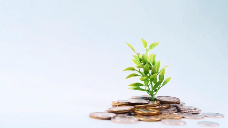 Planning for the Next Wave – Keeping the Momentum Going