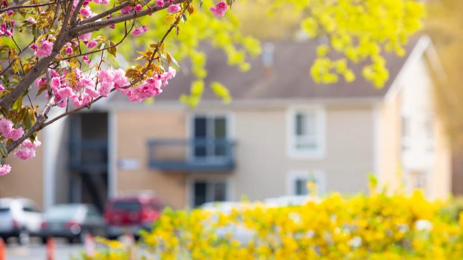 Getting Ahead – Prepping for the Spring Market Surge